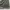 Minimalist Culotte Wanita green photo 2