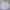 Nike Y2K Sportswear T-shirt Pria white photo 1