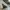 SLOW GUN Vintage Y2K Formal shirt Pria white photo 4