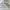 SLOW GUN Vintage Y2K Formal shirt Pria white photo 6