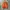 Gorpcore Track jacket Pria orange photo 2