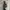 K2 Gorpcore Track jacket Pria brown photo 2