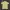 Casual Polo shirt Pria yellow photo 5