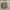 New Balance Sportswear Casual Sneakers Pria white gray photo 5