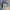 Nike Minimalist Track jacket Pria blue photo 4