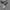 Greenlight Bomber jacket Pria gray photo 4