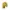Earth, Music & Ecology Fairy Coquette Blouse Wanita yellow photo 3