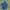 Adidas Gorpcore Hoody Pria blue photo 4