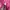 The North Face Y2K Sportswear Track jacket Wanita pink photo 8
