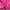 The North Face Y2K Sportswear Track jacket Wanita pink photo 7