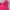 The North Face Y2K Sportswear Track jacket Wanita pink photo 4