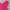 The North Face Y2K Sportswear Track jacket Wanita pink photo 3
