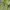 The North Face Y2K Sportswear Kids green photo 3
