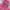 The North Face Y2K Sportswear Kids pink yellow photo 3