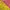 The North Face Y2K Sportswear Kids pink yellow photo 4