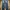 Vintage Jeans Pria Navy