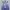 Luxury Skirt Wanita blue photo 5