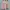 Y2K Avant Garde Skirt Wanita pink photo 2