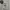 Fear Of God ESSENTIALS Coquette Hoody Pria White Gray