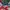 Vintage Windbreaker Pria Silver Green Navy Red