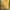 Uniqlo Vintage Casual shirt Pria yellow photo 4
