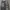 Pelle Pelle Y2K Jeans Pria black photo 5