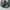 Dickies Casual Casual pants Pria green photo 2