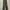 Dickies Casual Casual pants Pria green photo 4