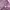 Casual Hoody Wanita purple pink photo 3