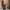 Tornado Mart Goth Avant Garde Jeans Pria tan brown photo 7