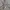 Streetwear Sportswear Hoody Pria gray photo 3