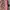 Gucci Vintage Luxury Shoulder bag Wanita pink photo 4