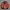 Vintage Y2K Bomber Jacket Wanita Multicolor