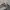 Streetwear Y2K Jumper Pria gray photo 3