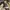 VANS Streetwear Skater Casual shoe Pria black photo 4