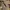 Adidas Streetwear Sportswear Casual shoe Pria khaki photo 4