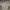 Nike Streetwear Sportswear Polo shirt Pria gray photo 2