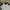 Adidas Sportswear Polo shirt Pria white photo 3