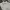 Adidas Sportswear Polo shirt Pria white photo 5