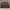 Gucci Vintage Tote bag Wanita tan brown photo 2