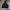 Mizuno Streetwear Sweatshirt Pria black photo 1