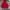 Uniqlo Streetwear Sweatshirt Pria Red