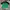 Streetwear Jersey Pria green photo 3
