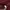 GAP Streetwear Sportswear Hoody Pria multicolor photo 5