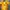 Nike Sportswear Jersey Pria gold photo 3