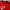 Le Coq Sportif Sportswear Jersey Pria red black photo 2