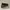 Bonia Minimalist Casual Crossbody Bag Wanita brown photo 3