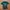 Jerzees Casual T-shirt Pria green photo 2