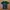 Jerzees Casual T-shirt Pria Green