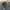 Patagonia Streetwear Hat Pria gray photo 4